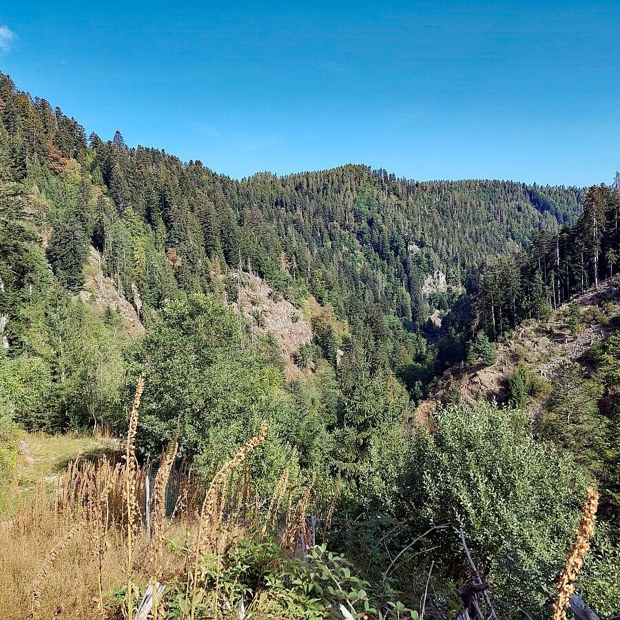 Bernecktal 4