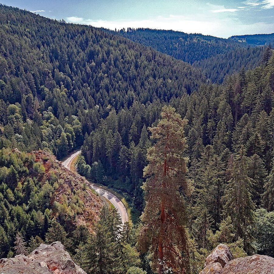 Bernecktal 8