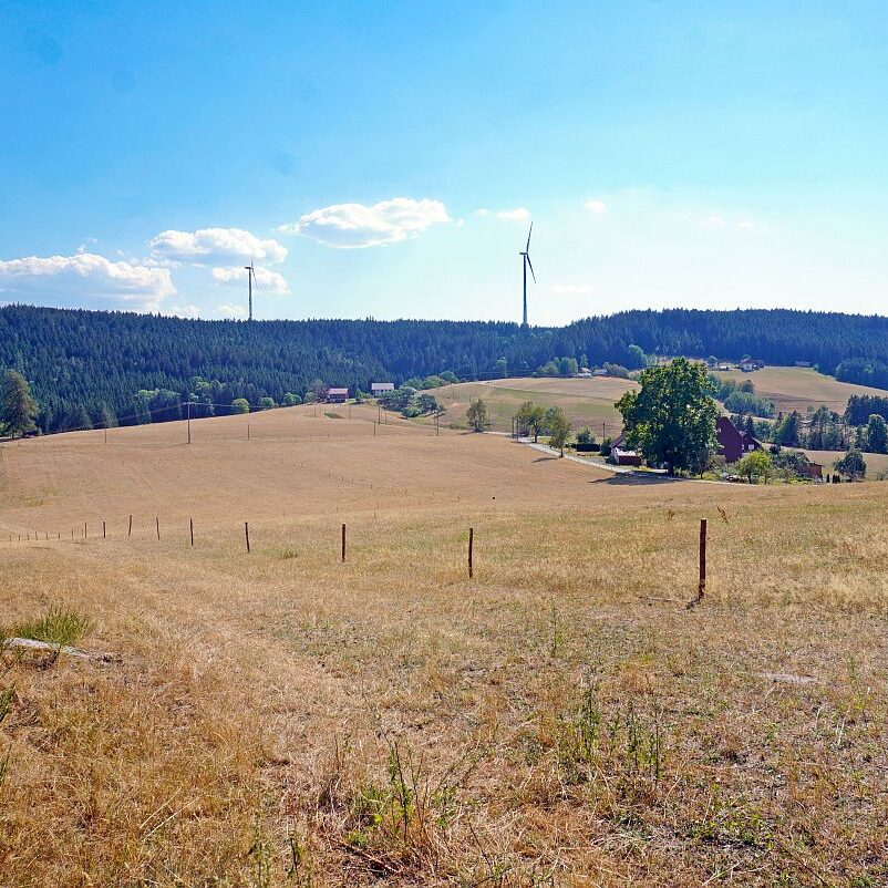Dürre 06