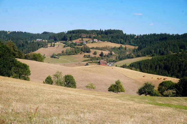 Dürre 11