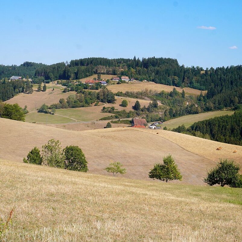Dürre 11