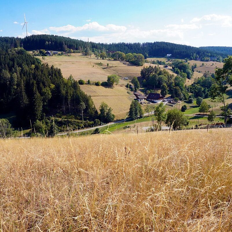 Dürre 13