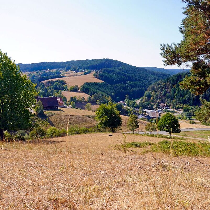 Dürre 14