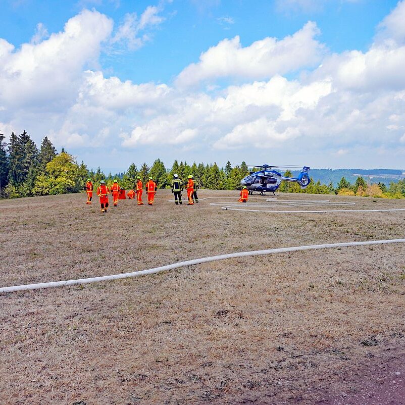 Waldbrand 02