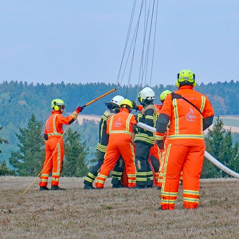 Waldbrand 10
