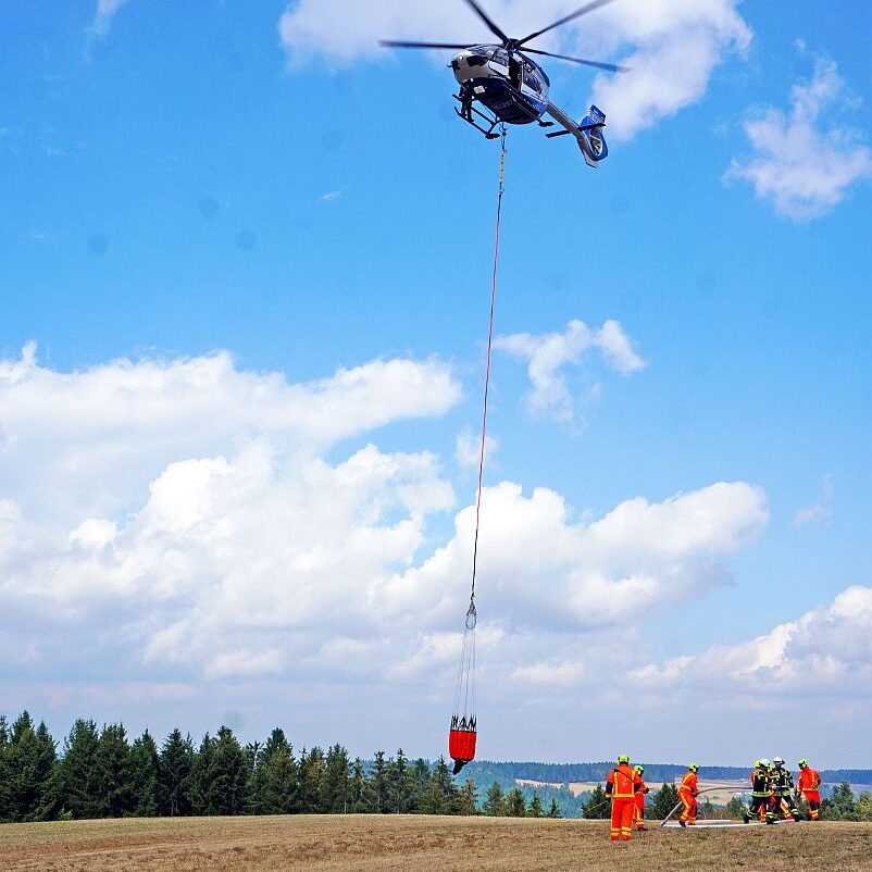 Waldbrand 11