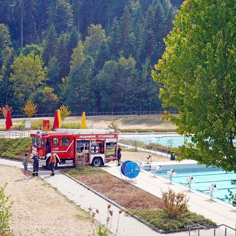 Waldbrand 12