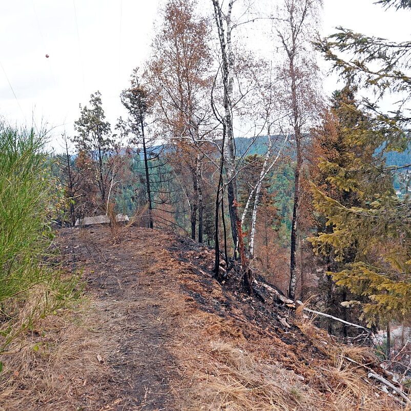 Waldbrand gelöscht 01