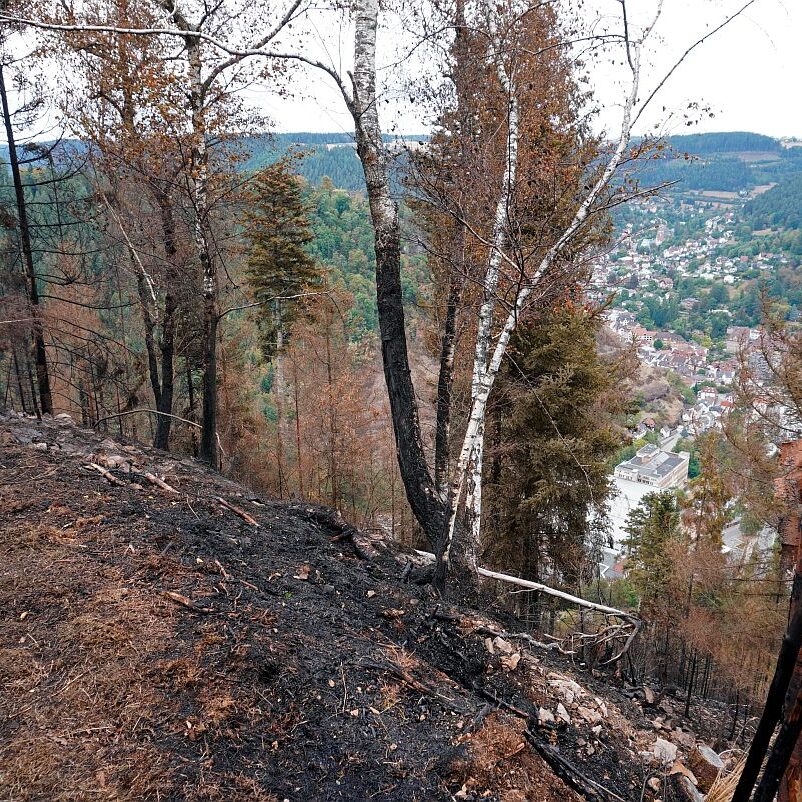 Waldbrand gelöscht 02