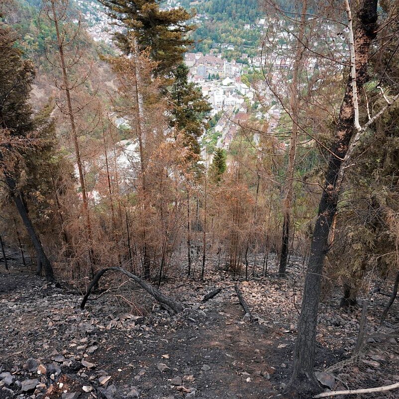 Waldbrand gelöscht 03