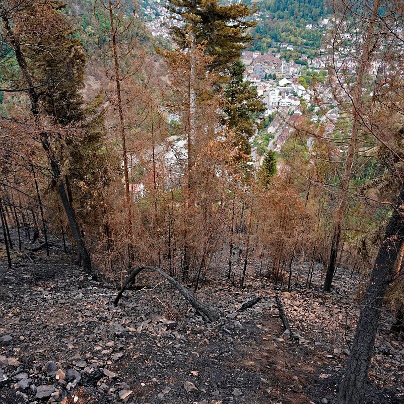 Waldbrand gelöscht 05