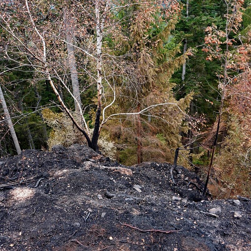 Waldbrand gelöscht 07