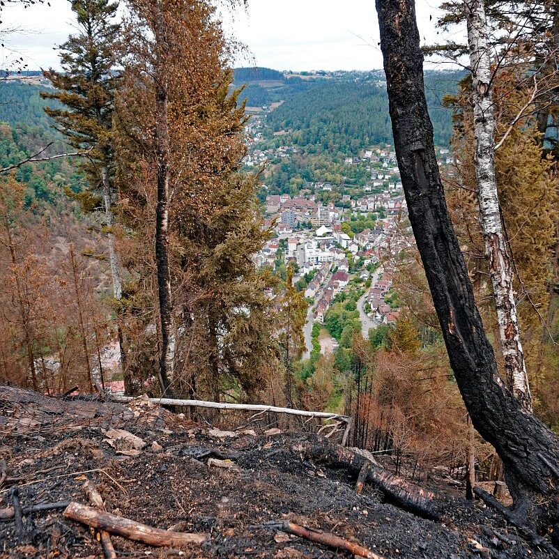 Waldbrand gelöscht 09