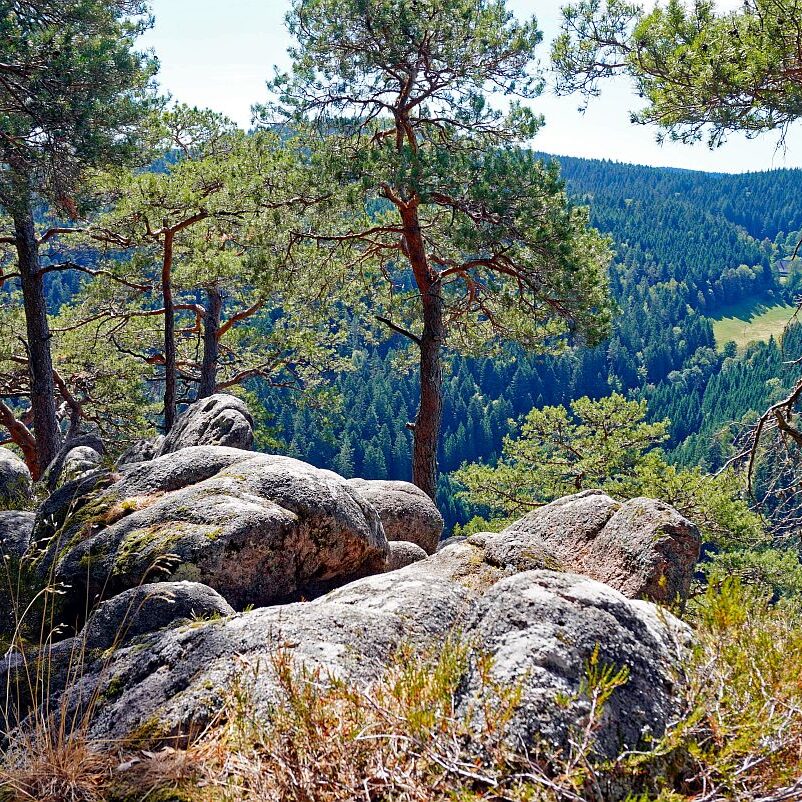 Apfelfelsen 05