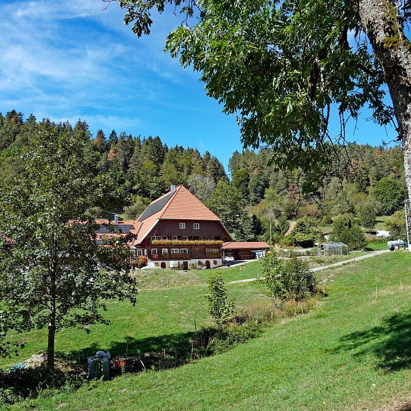 Apfelfelsen 09