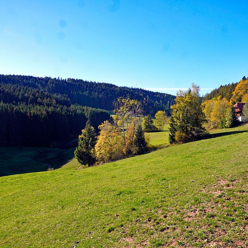 Herbst Gersbach 02