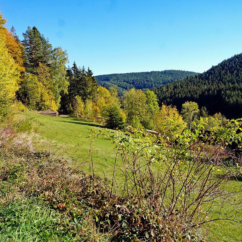 Herbst Gersbach 03