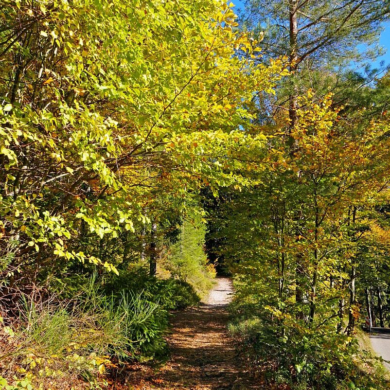 Herbst Gersbach 05