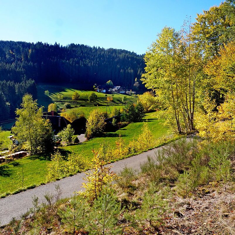 Herbst Gersbach 06