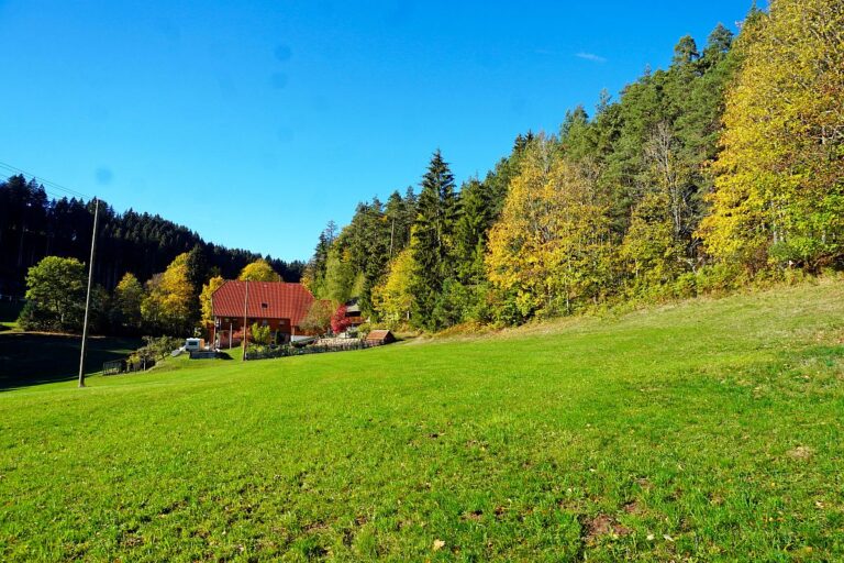 Herbst Gersbach 08