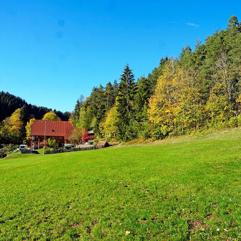 Herbst Gersbach 08