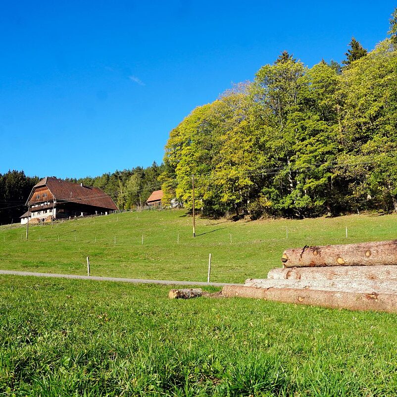 Herbst Gersbach 09