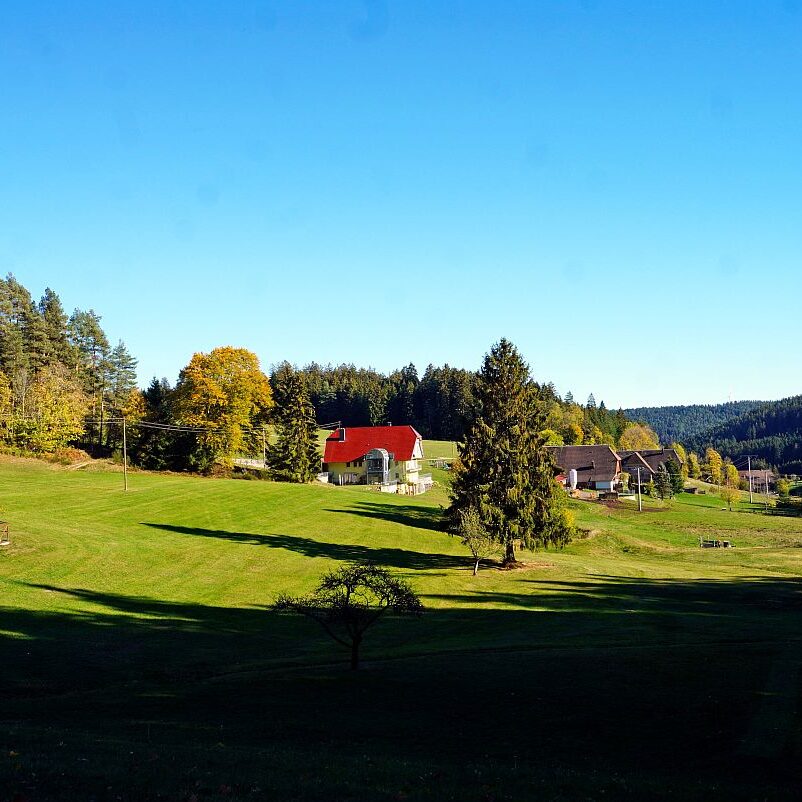 Herbst Gersbach 10